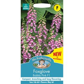 Foxglove Bubbly Pink F1 Seeds
